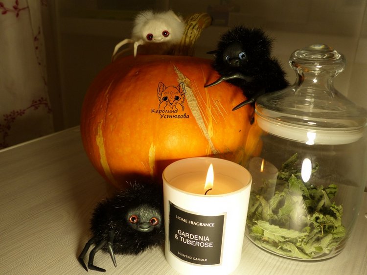 Halloween и маленькие паучки (фото 8)