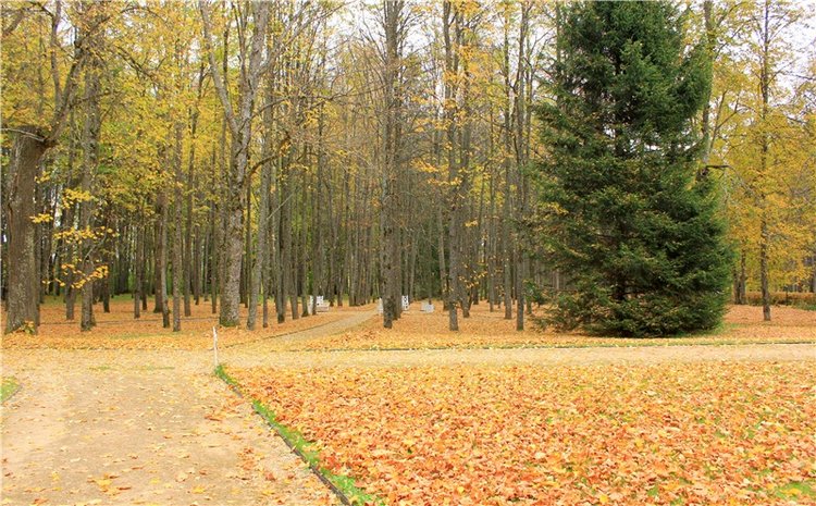 Золотая Осень в Берново с Имани. Mini Imani от Kaye Wiggs