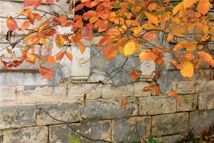 Путешествие Dal Hangry в Грузины, продолжение (фото 10)