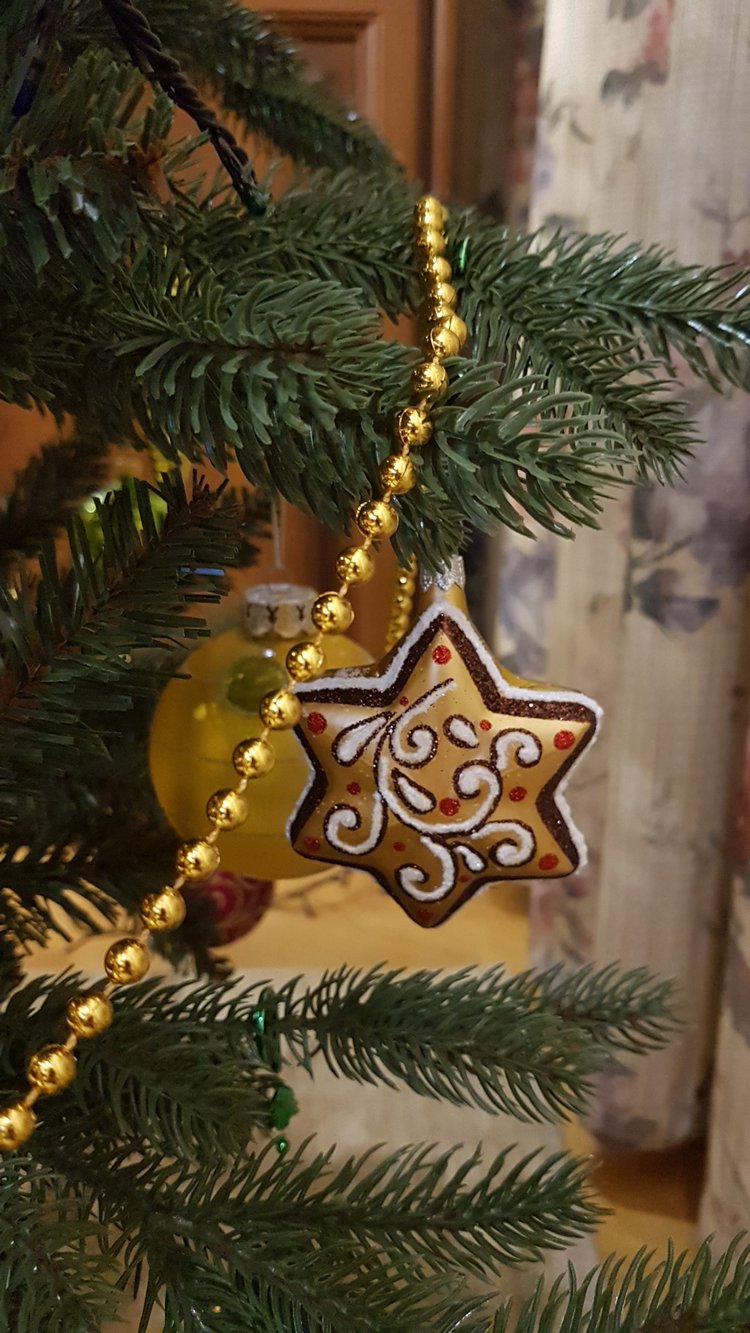 В степи родилась ёлочка, в жару она росла (фото 10)