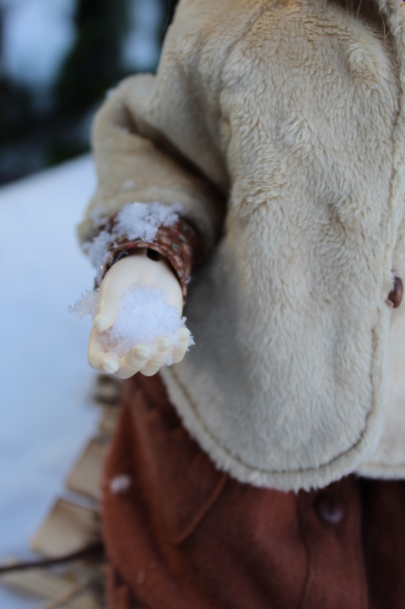 Розочка на снегу — Куклы Dollshe Craft (Доллше): BJD (БЖД)