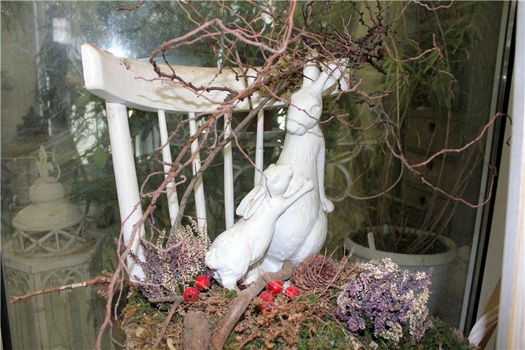 Тверской Ботанический Сад