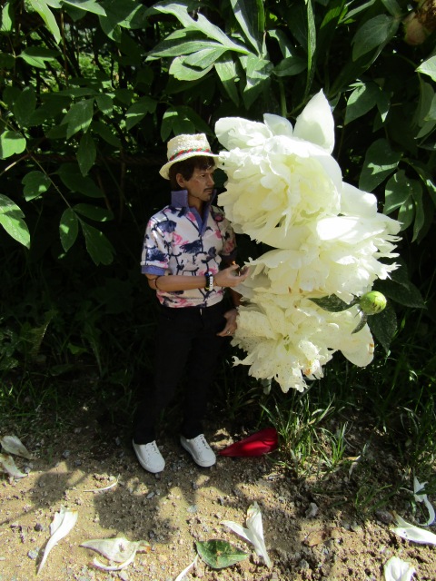 Тони Старк: приключения без брони. И снова Аптекарский огород | Бэйбики Тони Старк: приключения без брони. И снова Аптекарский огород