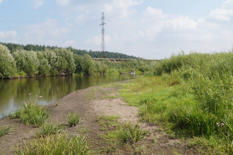 За хорошими эмоциями с семьёй на речку