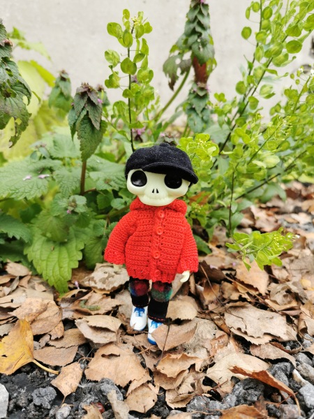 Лягушка Ванда и все-все-все