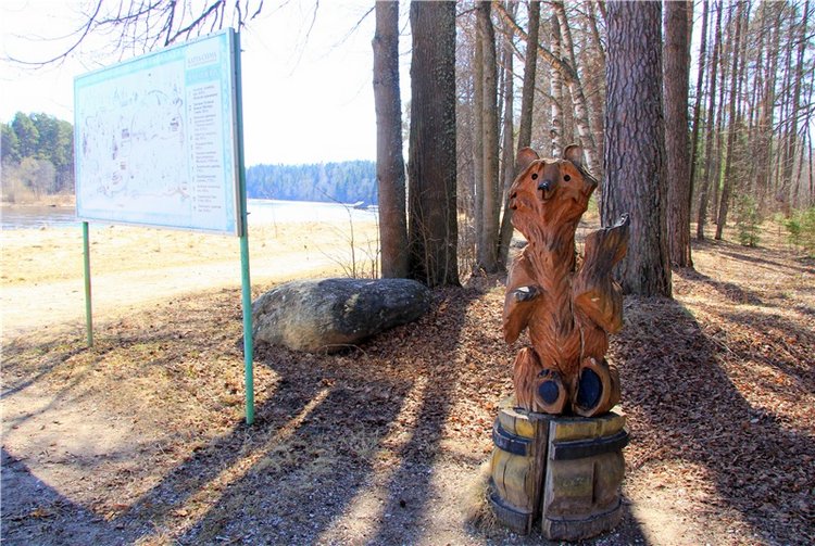 Апрельский день в Василёво (фото 6)
