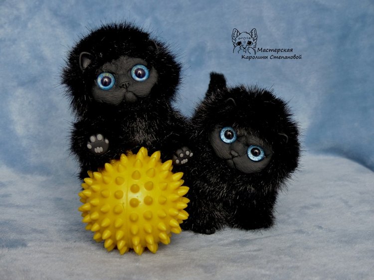 Черные котятки(персы), маленькие злобики