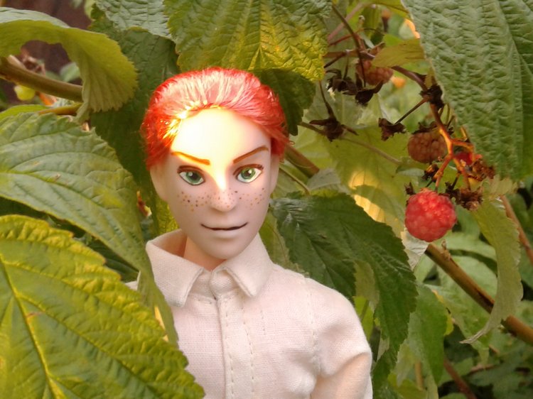 Кто же там, в малиннике — Куклы и тела Obitsu (Обитсу): 1/6 (фото 6)