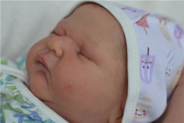 Мои новорожденные малыши. Кукла реборн | Бэйбики Мои новорожденные малыши. Кукла реборн (фото 6)