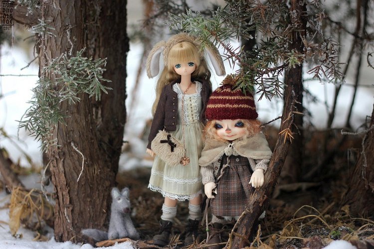 Зимние прогулки с Корицей, Мией и Волчком (фото 10)