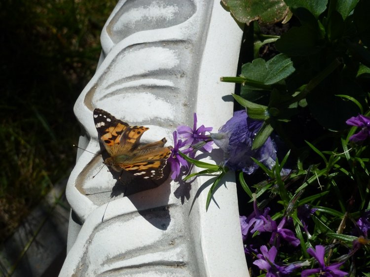 Сочи-Адлер: Южное Взморье - Мои любимые куколки на отдыхе