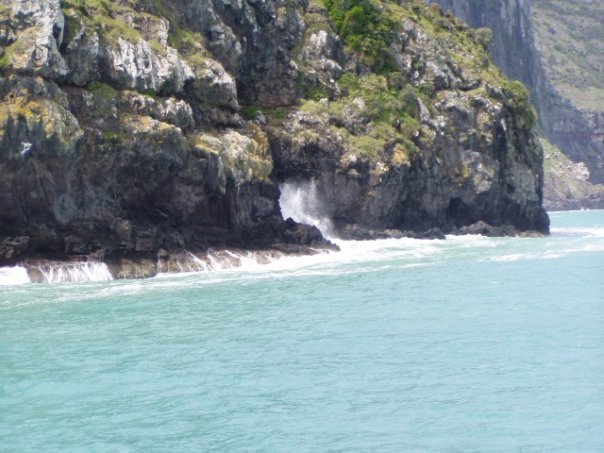 Увлекательное путешествие по Новой Зеландии