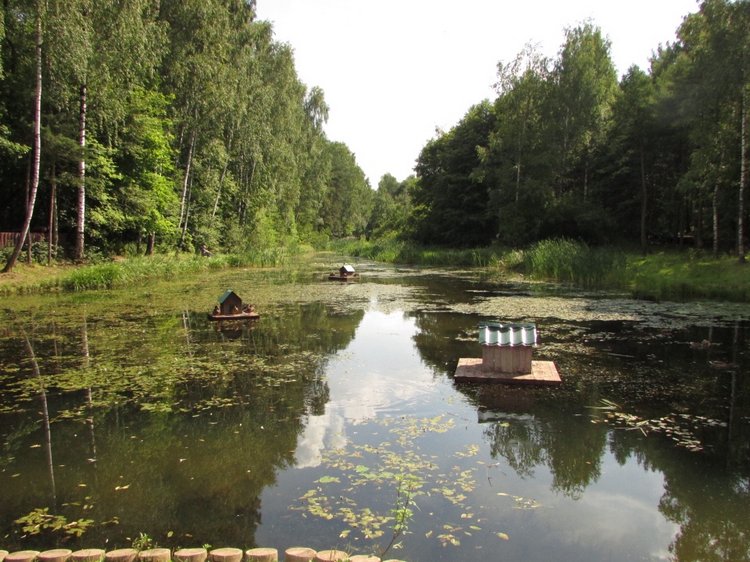Малышня на прогулке в Бирюлёвском дендропарке