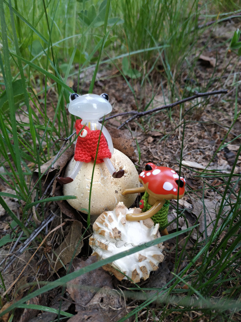 Wonderfrog. Красота в простоте