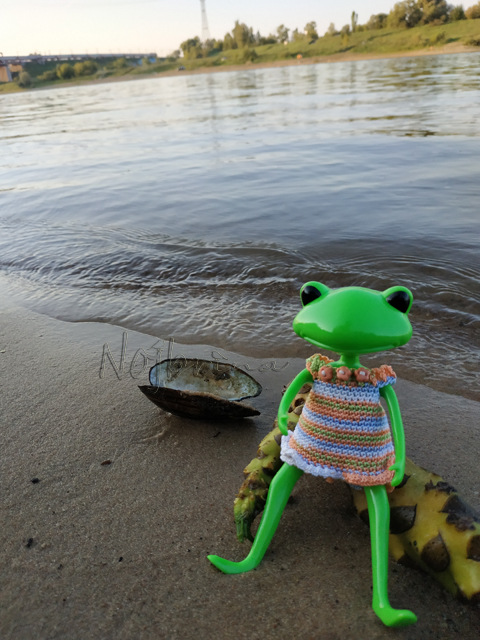 Wonderfrog. Красота в простоте. Часть 3