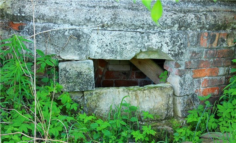 Эля в Иванишах. Twinkles Ella Chocolate