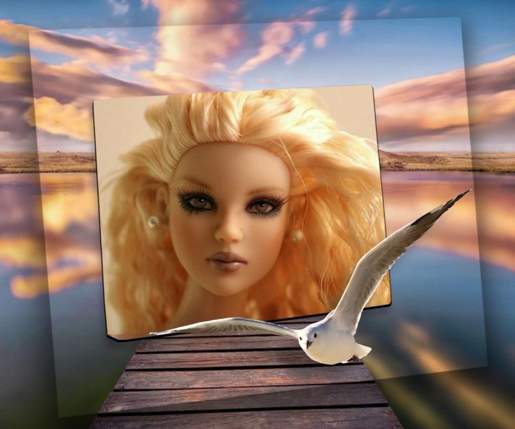 Мои Тоннерки. Фотозарисовки