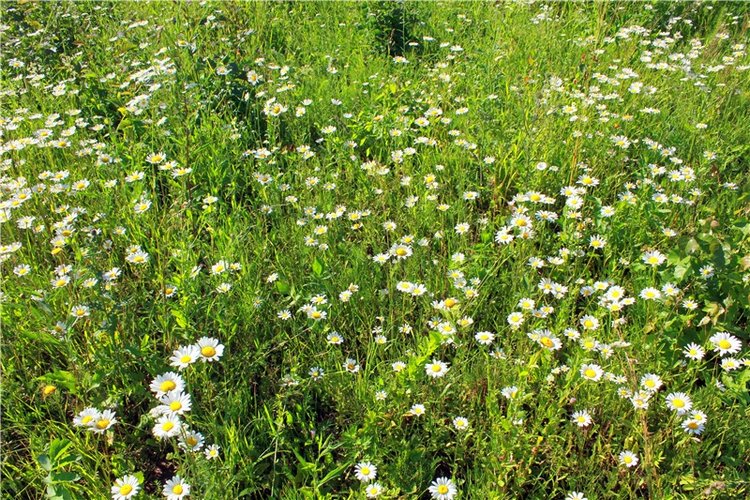 Путешествие Эли на красивый берег реки Волги