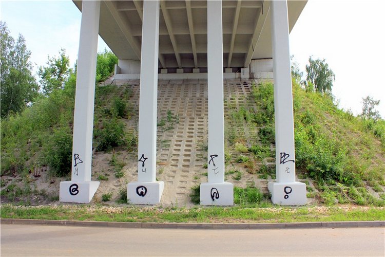 Июльское путешествие в Старицу, продолжение (фото 9)