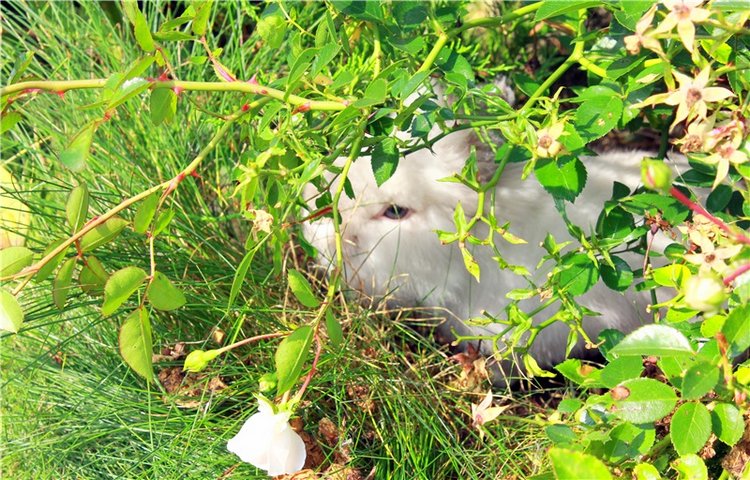 Сентябрьское путешествие в Старицу. Старицкий Свято-Успенский Монастырь