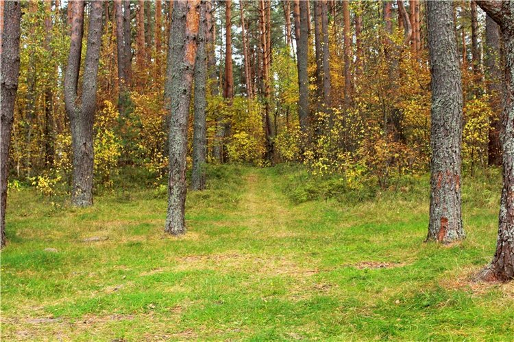 Путешествие Имани на Волгу, продолжение. Mini Imani от Kaye Wiggs