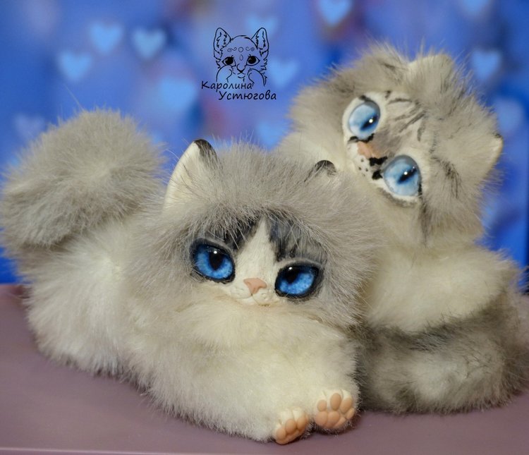 Котята Охос азулес. Чарующие глаза