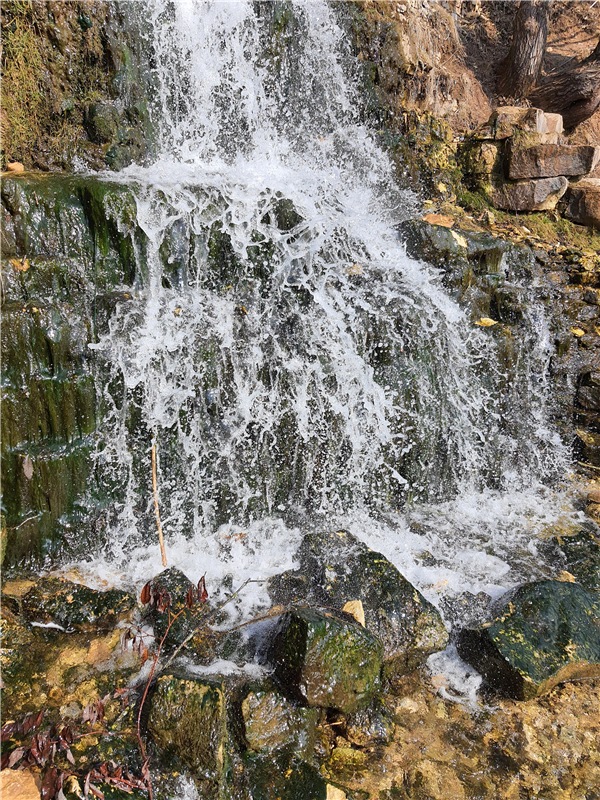 Путешествие Имани в ПанИку (фото 3)