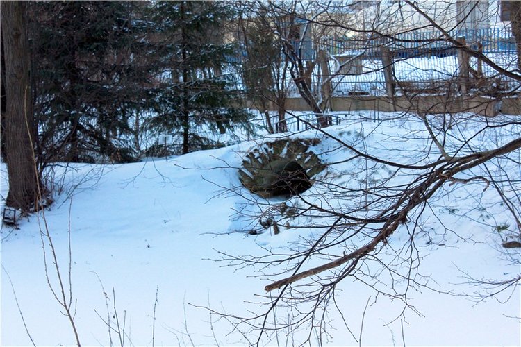 Тверской Ботанический Сад, заключительная часть