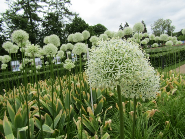 Тони Старк: приключения без брони. Был месяц май, снова | Бэйбики Тони Старк: приключения без брони. Был месяц май, снова