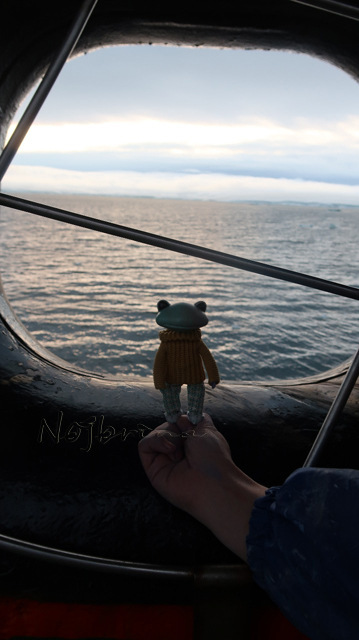 Большое путешествие Кензо. Арктика. Северный полюс