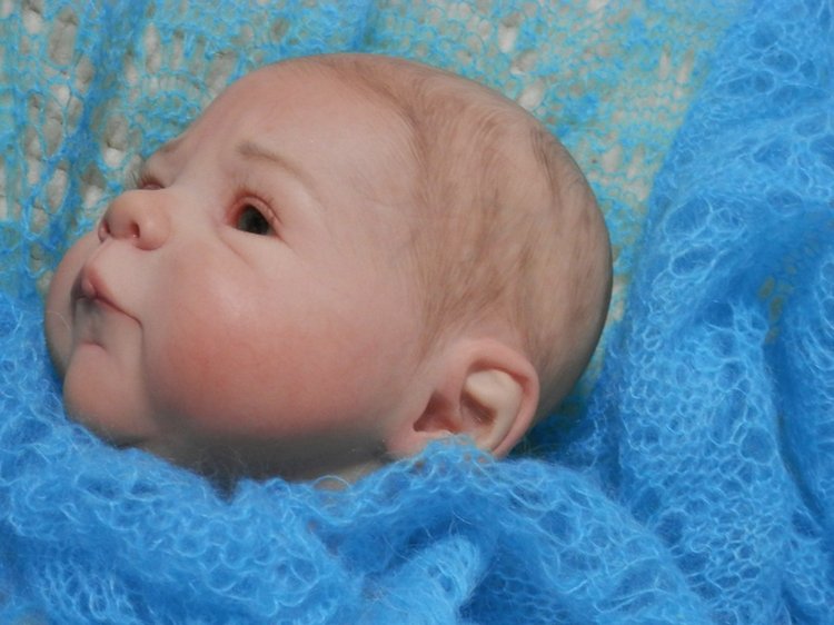 Хомячок Сили. Кукла реборн Шутовой Анны