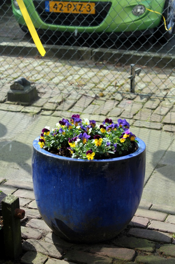 Пасхальная встреча в магазине кукол! Часть 4