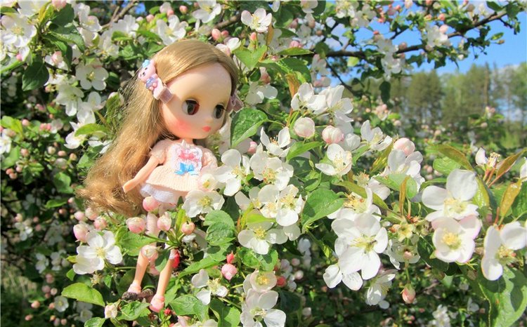 Застенчивая Алиса. Middie Blythe Doll Pebble Cakes & Shrinking Alice (фото 3)