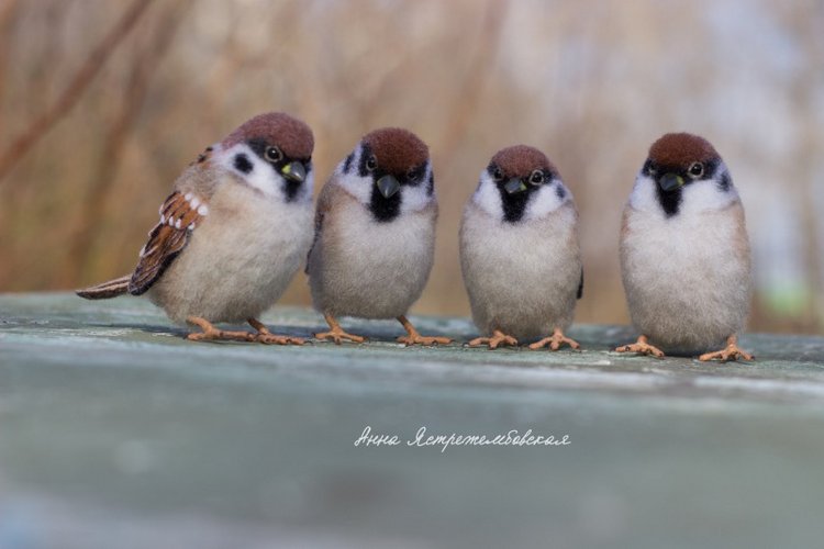 Воробушки — Валяные игрушки из шерсти: сухое валяние