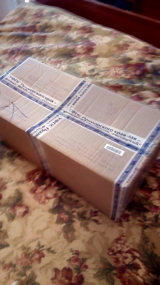 Наша Маша приехала — Куклы Lee Middleton (Ли Миддлтон): Reva Schick