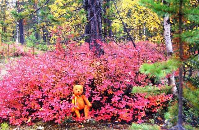 Осенний пейзаж — Туризм и путешествия: фотоотчеты из поездок (фото 6)