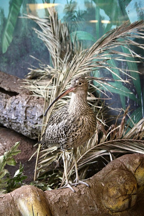 Московские каникулы. Часть 1