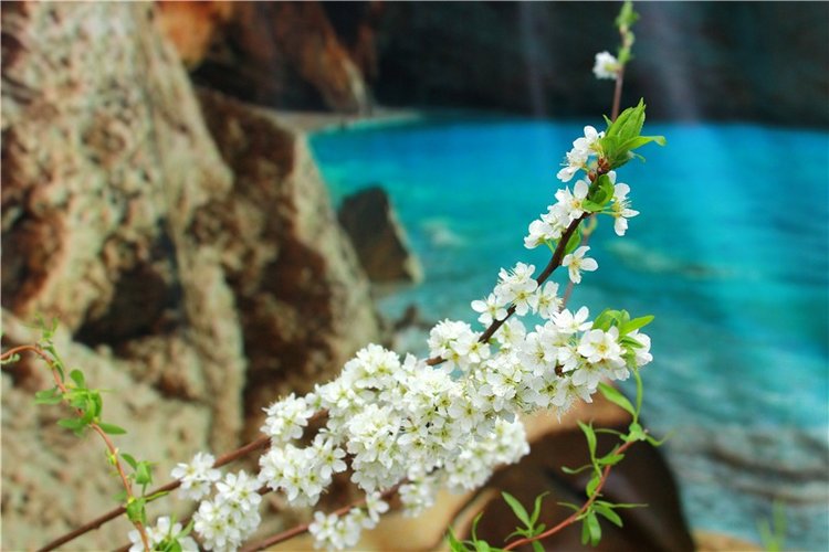 Тюльпановый Рай. Выставка тюльпанов в Твери. Mini Layla elf Sunkissed skin от Kaye Wiggs