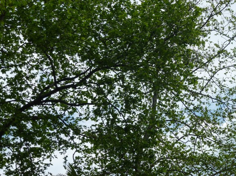 Сочи-Адлер: Южное Взморье - виртуальное путешествие по территории санатория