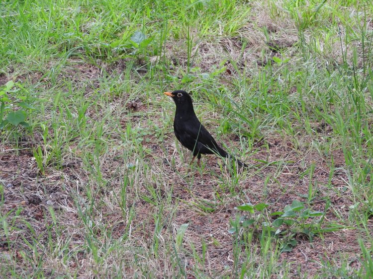 Сочи-Адлер: Южное Взморье - виртуальное путешествие по территории санатория