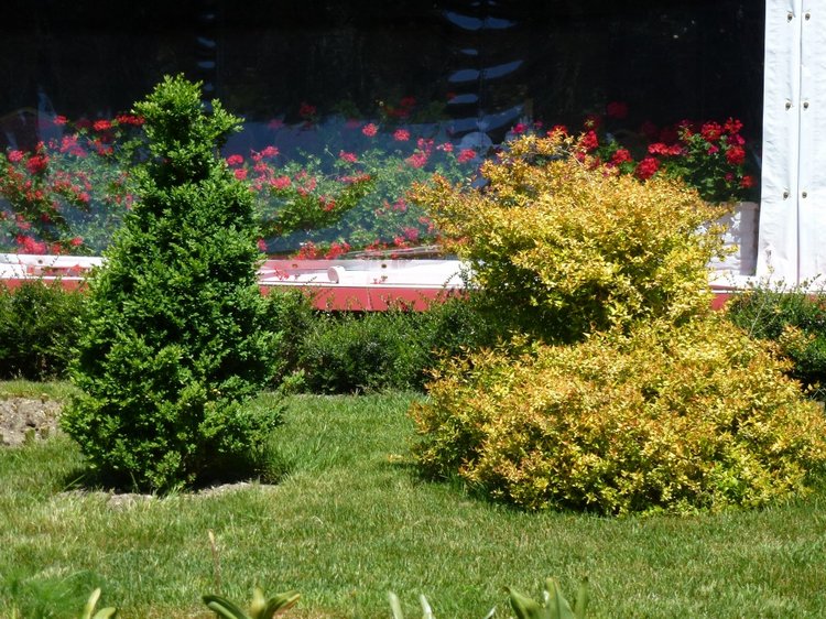 Сочи-Адлер: Южное Взморье - виртуальное путешествие по территории санатория