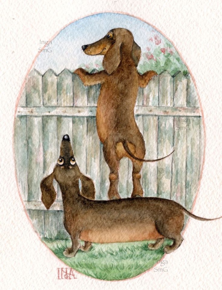 Предновогодние денёчки! Улыбнёмся вместе! Смешные таксы Инги smG