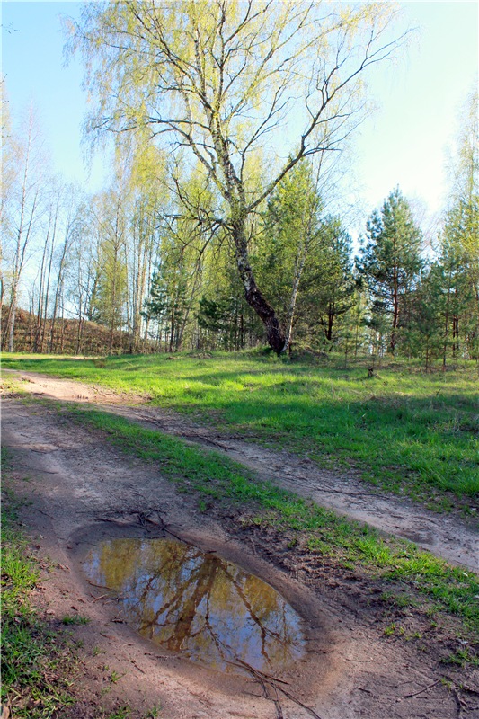 Прогулка Софи. Lati HoneyBee New Mystic Sophie | Бэйбики Прогулка Софи. Lati HoneyBee New Mystic Sophie