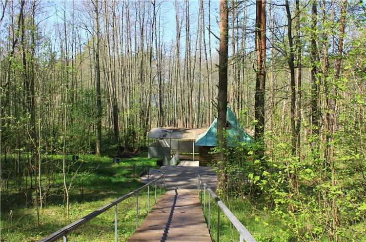 Путешествие Софи в Старицу. Lati HoneyBee New Mystic Sophie