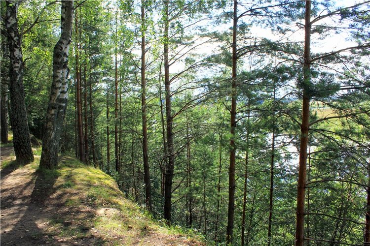 Августовское путешествие в "Сад Камней" | Бэйбики Августовское путешествие в "Сад Камней"