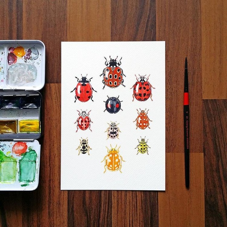 SnailMaidenStudio - Акварельные иллюстрации маленьких живых существ