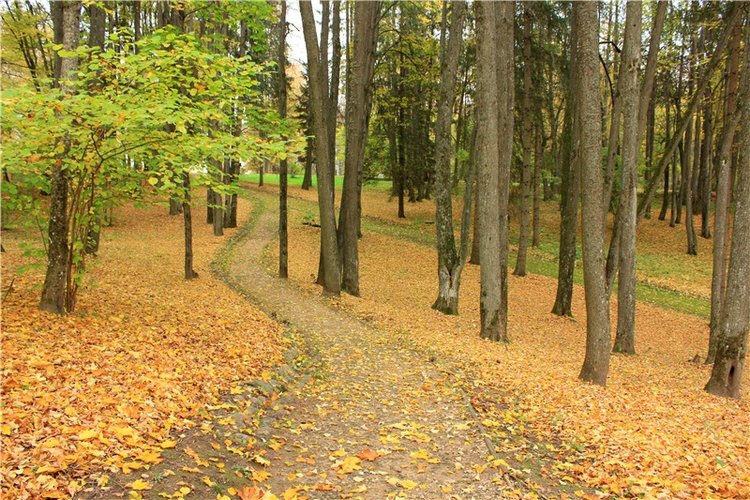 Золотая Осень в Берново с Имани. Mini Imani от Kaye Wiggs