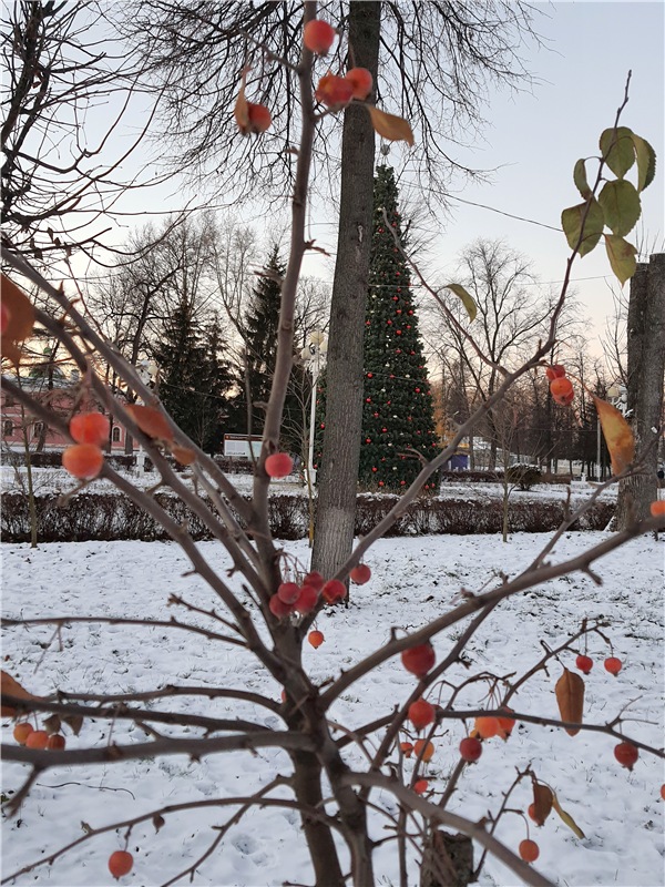 Декабрьская Тверь — Туризм и путешествия: фотоотчеты из поездок