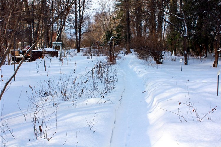 Тверской Ботанический Сад, заключительная часть