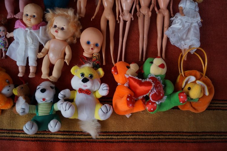 Новые пациенты приехали в посылке (фото 9)